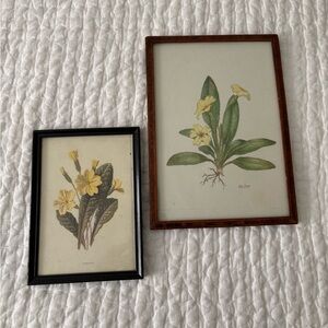 Set of two yellow flower framed pictures